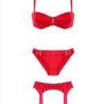 RED, BRA, PANTY, GARMENT TRIPLE TEAM-1